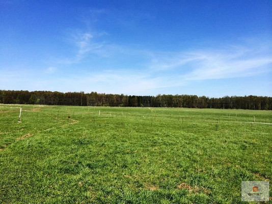 Купить  участок